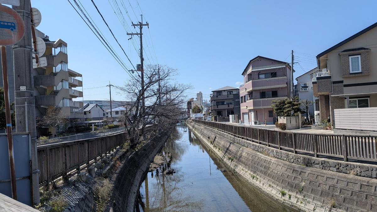 桜、早く咲いてほしいですね〜🌸