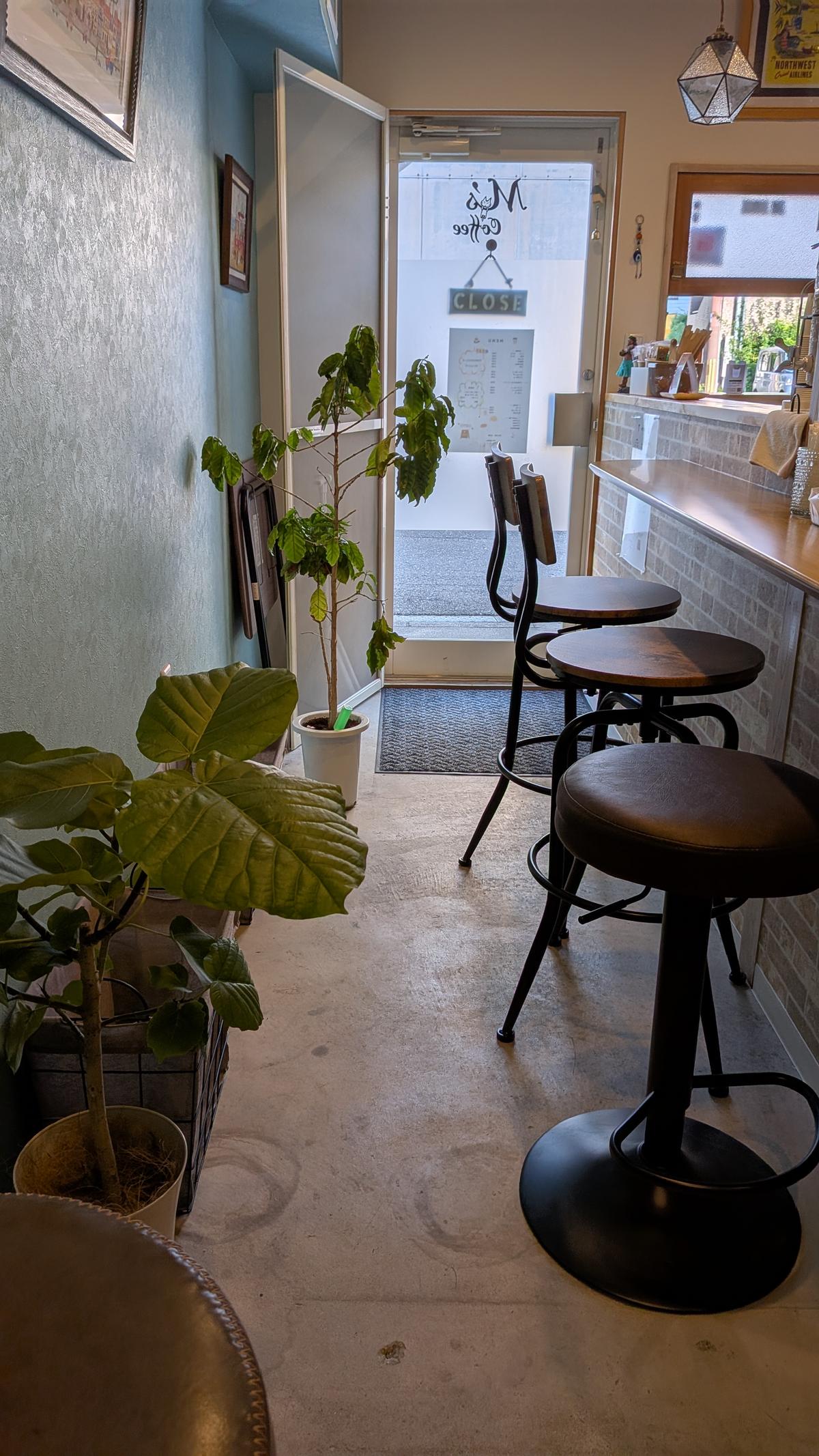 店内一番奥の席から。植栽の葉っぱをかき分けながら入る感じです（笑）