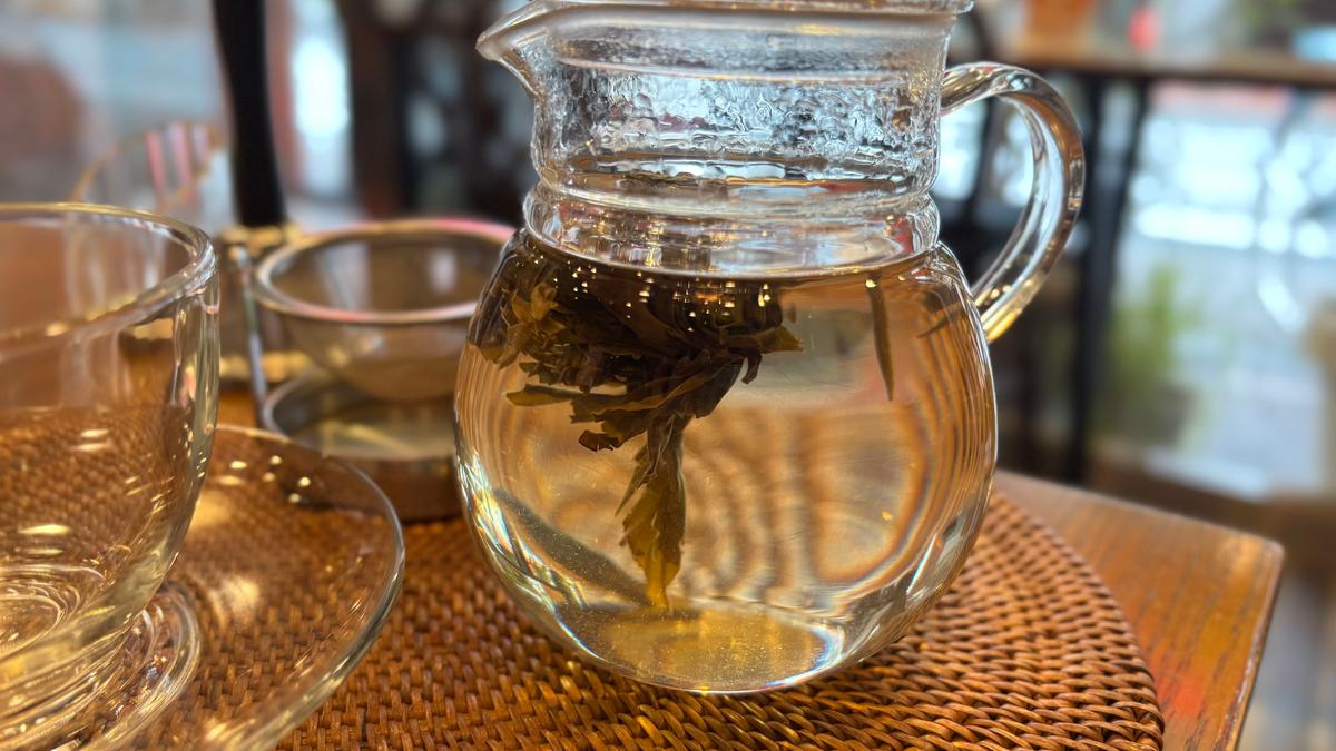 お湯を注ぐとだんだん広がって…
