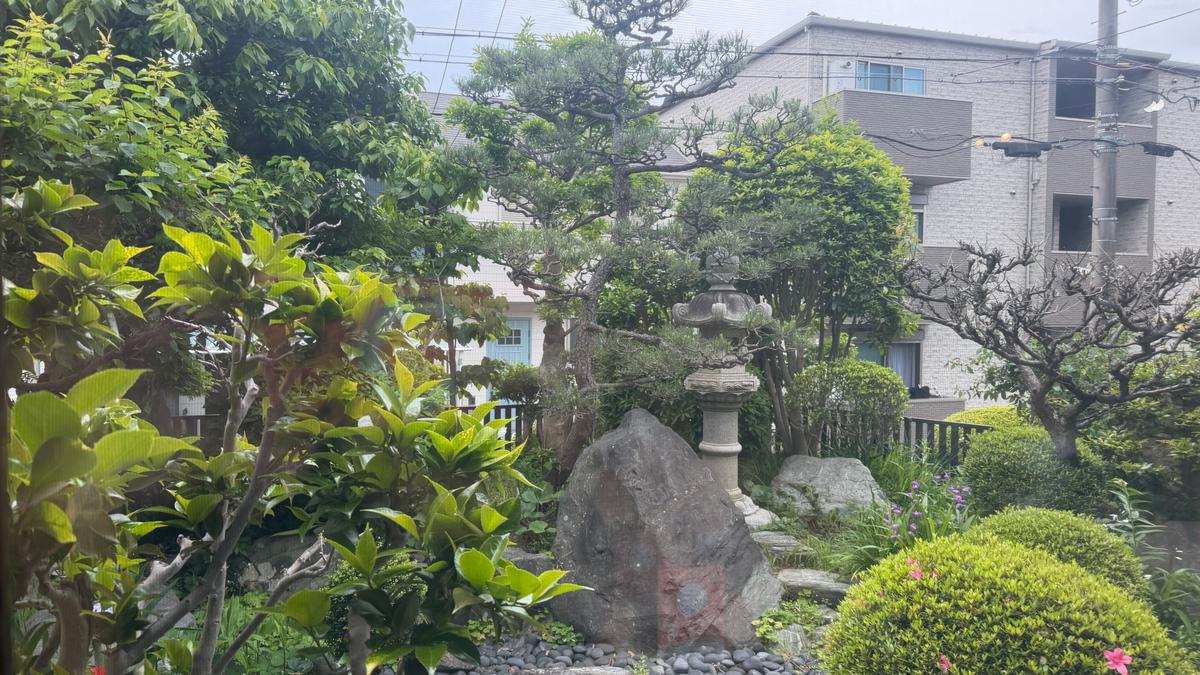店内からの景色