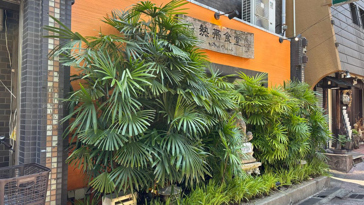 大きな窓があるけど外からは見えづらくなってて世界観に浸れるのもポイント☺️