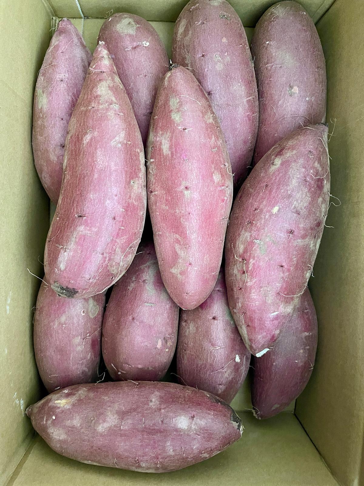 【お会計合計1500円以上】生芋500グラムor焼き芋Mサイズ１本プレゼント🎁