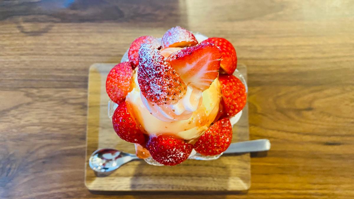どこからみても可愛い