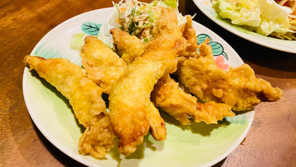 ガイトートネッタイ
